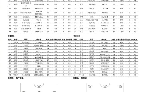 九游体育入口-国际比赛日上海申花调整名单以备意甲，临场应变环节打磨，气氛紧张，团队化学反应显著的简单介绍
